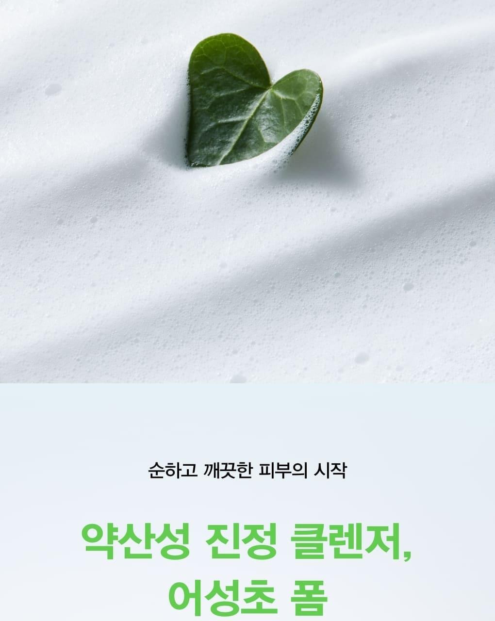 韓國Abib Acne Foam Cleanser Heartleaf Foam 抗痘魚腥草溫和弱酸性潔面泡沫 - 150ml