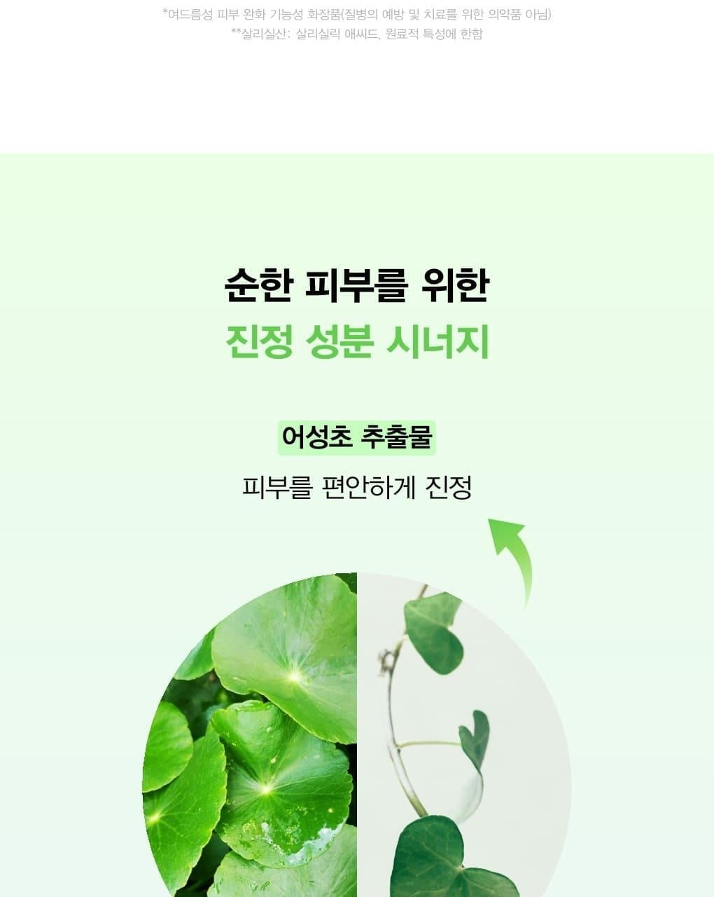 韓國Abib Acne Foam Cleanser Heartleaf Foam 抗痘魚腥草溫和弱酸性潔面泡沫 - 150ml